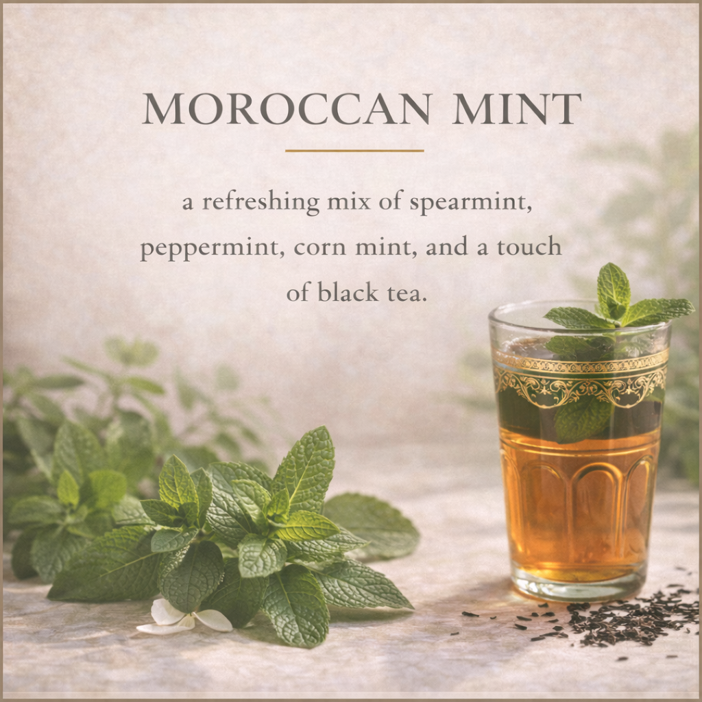 Barra de loción sólida de menta marroquí