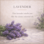 Barra de loción sólida de lavanda