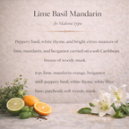 Lime Basil Mandarin Roller Perfume | Citrus Basil Luxe Perfume Oil
