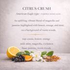 Este es el perfume Citrus Crush Roller