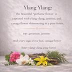 Aceite perfumado en roll-on de ylang ylang
