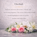 Orchid Roller Perfume | Orchid & White Floral Fragrance