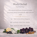 Black Orchid Roller Perfume | Dark Unisex Floral Perfume Oil