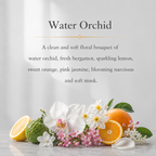 Water Orchid Perfume Oil Roller | Soft Citrus Floral Perfume Oil