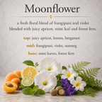 Moonflower Oil Roller Perfume | Fresh Floral Apricot Perfume Oil